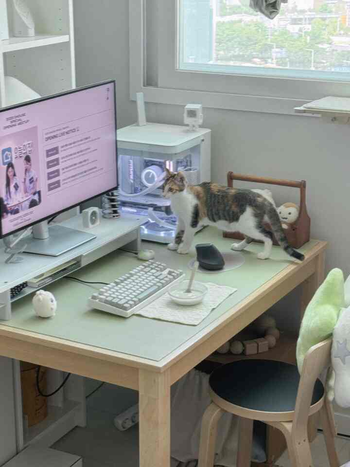 ホワイトとウッドトーンが調和したコンパクトなホームオフィス、机の上に猫がいる雰囲気のあるインテリア