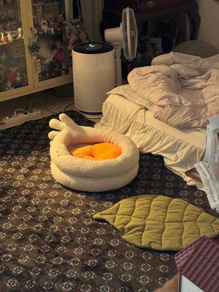 茶色い柄入りのラグとクリーム色のペットベッドが配置された狭くて居心地の良いリビング、自然な色調のインテリア