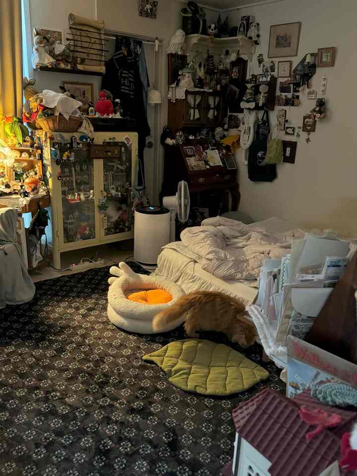 ブラックとブラウンのトーンの狭い寝室、パターンラグとペットベッドが配置され、猫がいる雰囲気のあるインテリア