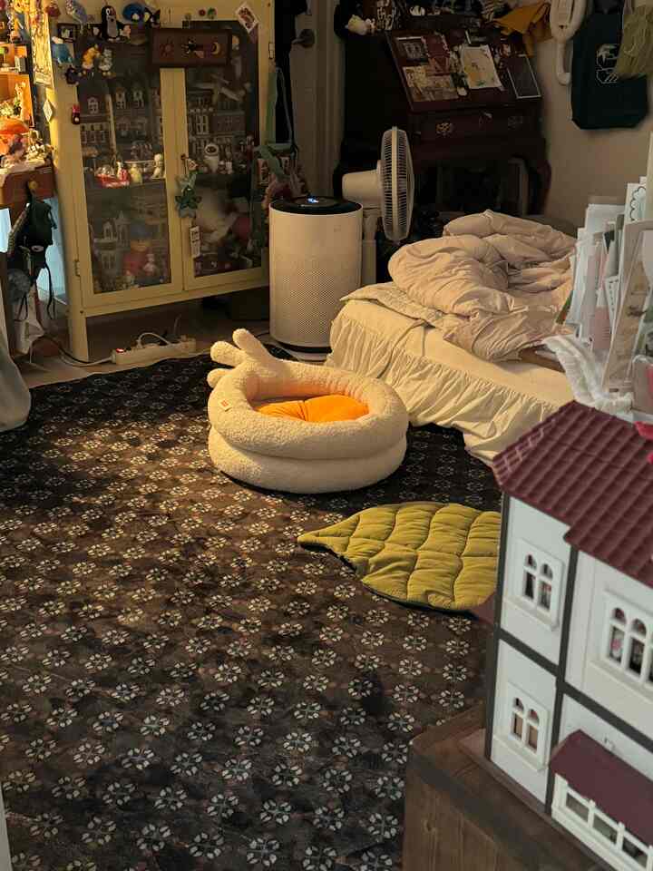 柔らかいホワイトとブラウンの色合いが特徴の寝室、中央にペット用ベッドと大きな柄のラグが配置された印象的な空間
