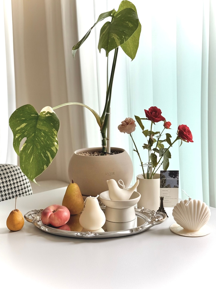 Bird Candle & Shell Tray Gift Set user photo