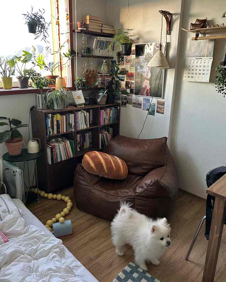 木目調の床と植物が調和する小さな部屋に、ブラウンのビーズクッションソファと本棚が配置された雰囲気のあるインテリア
