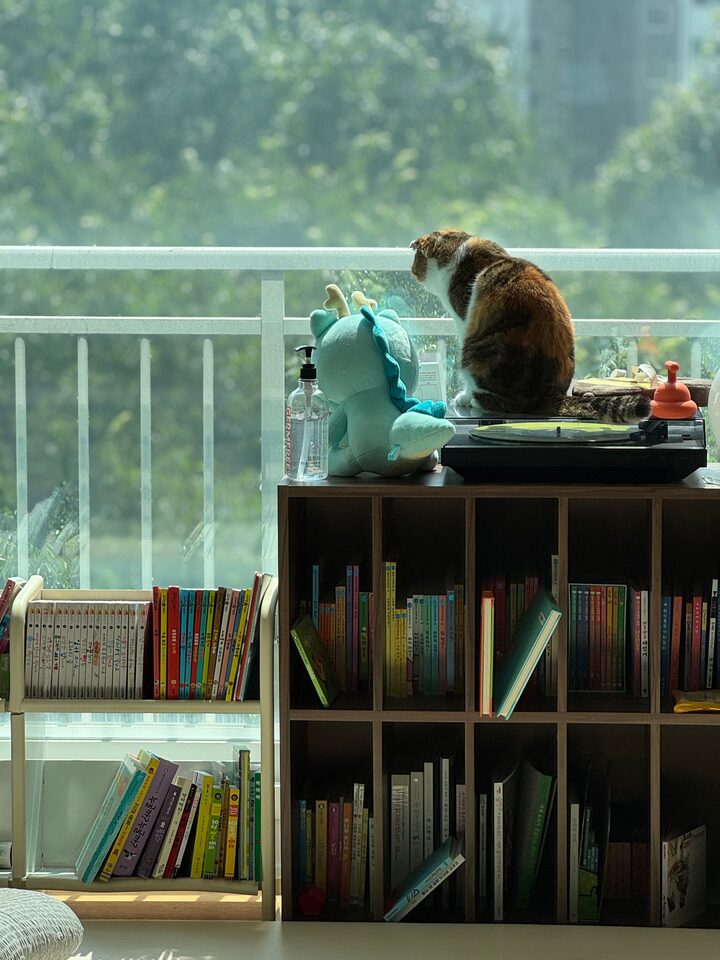 short form carousel card thumbnail