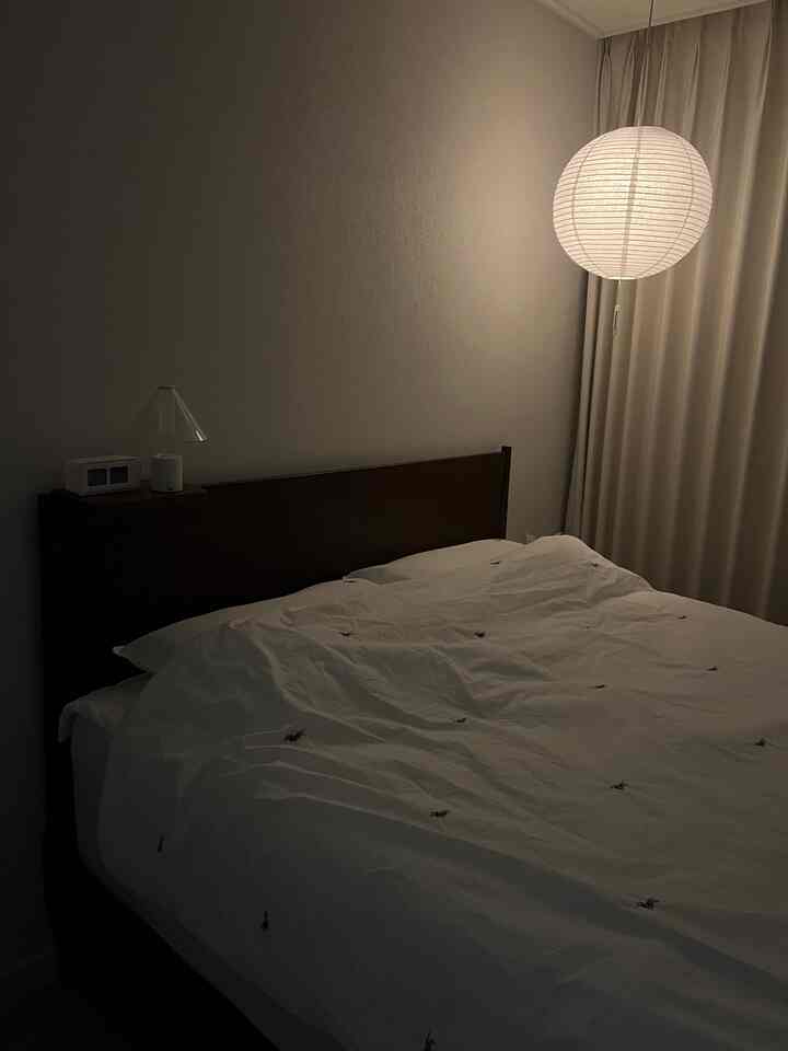 #우리집포토존 #콘수프기록집 #오늘의우리집
最近、私の家、インスタの家ごとにこの照明があると思いました。
私もヌノーズで漢字照明を送ってくれました！ 🪩🤍

やはり最近流行するムード付きインテリア照明💡
照明設置ひとつで空間の雰囲気を変えることができますね！ ✨

私の家はすべてミニライトです。
お部屋でも火を消してミニ照明をつけると
居心地の良さより暗い感じが強く、ちょっと残念でしたが、
ヌノース照明で居心地の良い+スッテムしました 💡💛

でも照明をつけた時と消えた時の雰囲気が違いますよ！
明るい時はインテリアモビルみたいな感じ🤍

さまざまなサイズのオプションがあり、選択可能です。
私は40cmとしたし、寝室の照明でぴったりだと思います！
サイズ選択が多様で設置するスペースに合わせて選択していただければと思います！  #nunoz #paperlamp    #오브제 #우드인테리어