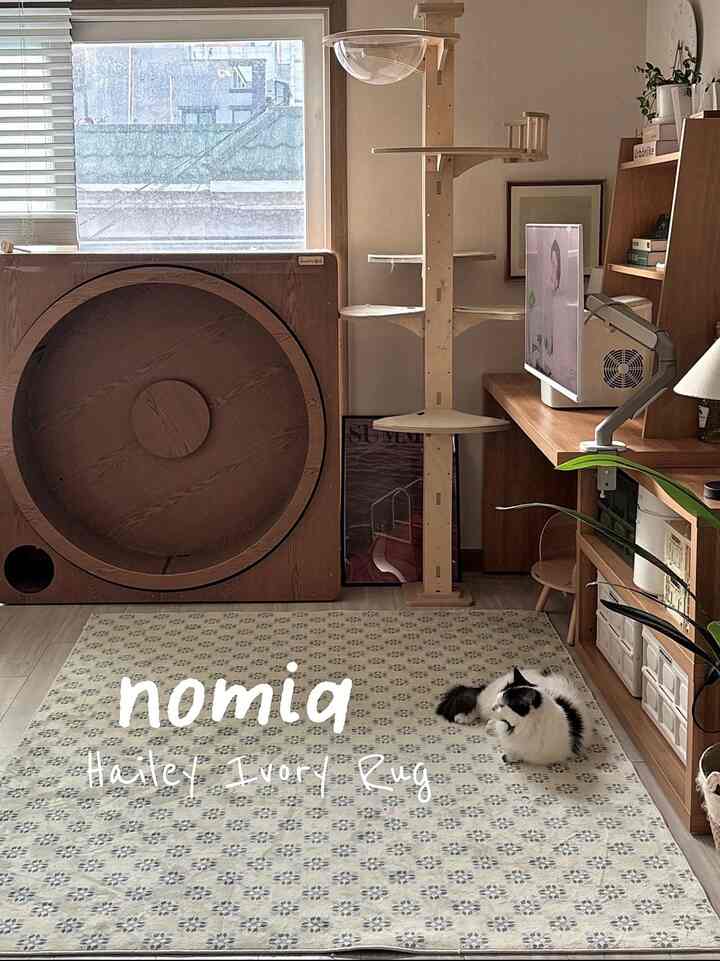 ＃コンスープ記録集＃一緒に住んでいる家 

＃製品提供

今天気が肌寒くなってもう少し見えにくいラグを掛けるのがいいと思いました☺️
🌿ノミアヘイリーアイボリーラグ、 
サイズは150x200です
素材は極細サラすごい〜〜〜とても柔らかいと思ったよりもふわふわです
肌触りがとても快適で素肌が届いても 
カッコリ1つなかった
カラーは背景はやや黄色がかったアイボリーにフラワーパターンがブルーとグリーンになっていますが、 
とても穏やかな色だからちゃんとしなくてよかったです。
だから、スペースがもう少し暖かい雰囲気に変わりました😏
デザインは定期的なフラワーパターンがリストされているので、部屋の中にポイントを与える良いラグです。
木のインテリアが好きな私はちょうど良かったです。
裏面に滑り止めドットがあって、私たちの猫たちが優だっても全くジャングルがありませんでした！
洗濯機使用が可能な製品なので、ヘアボルトを必ずラグの上でする私たちの猫たち
執事は^_^…希望があります… ！
ラグ一つで空間の雰囲気が芽生え変わって雰囲気の転換が必要な方に王おすすめお願いします💚

#ノミア#nomia ＃ビンテージラグ＃ビンテージラグおすすめ＃かわいいテム最高 