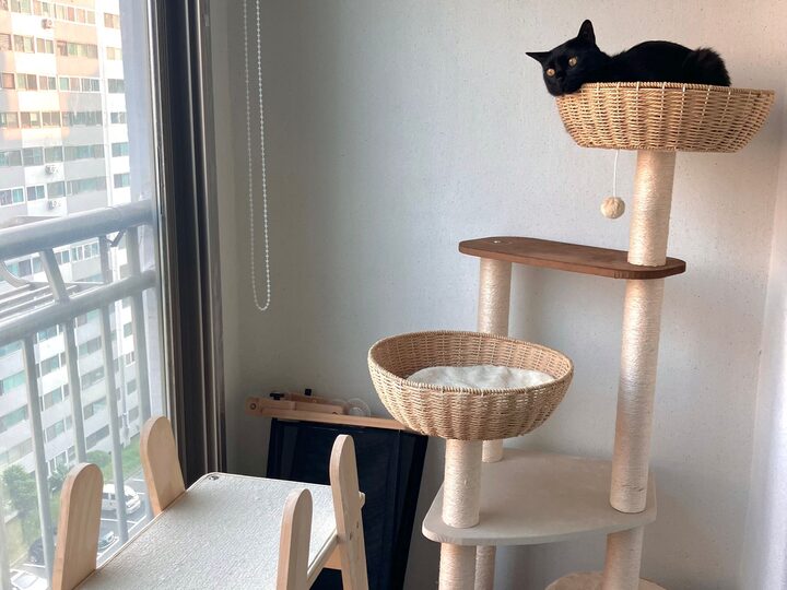 short form carousel card thumbnail