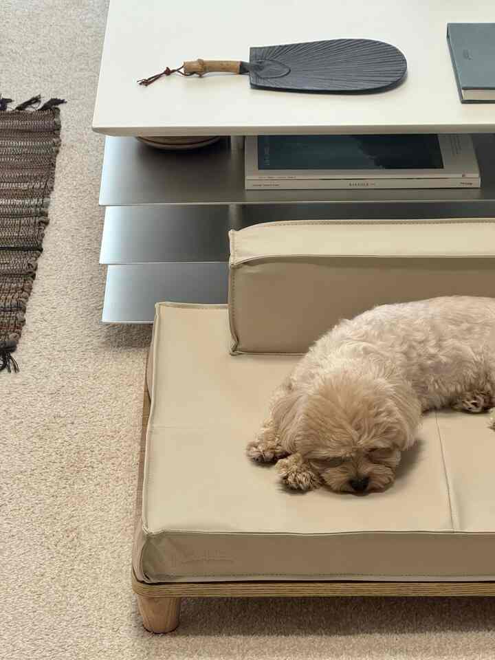 メロウ ペット ベッド［2色］を使ったコーディネート 3