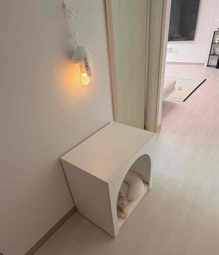 白とナチュラルトーンのリビング、猫のペットベッドとラグが配置されたミニマルな空間