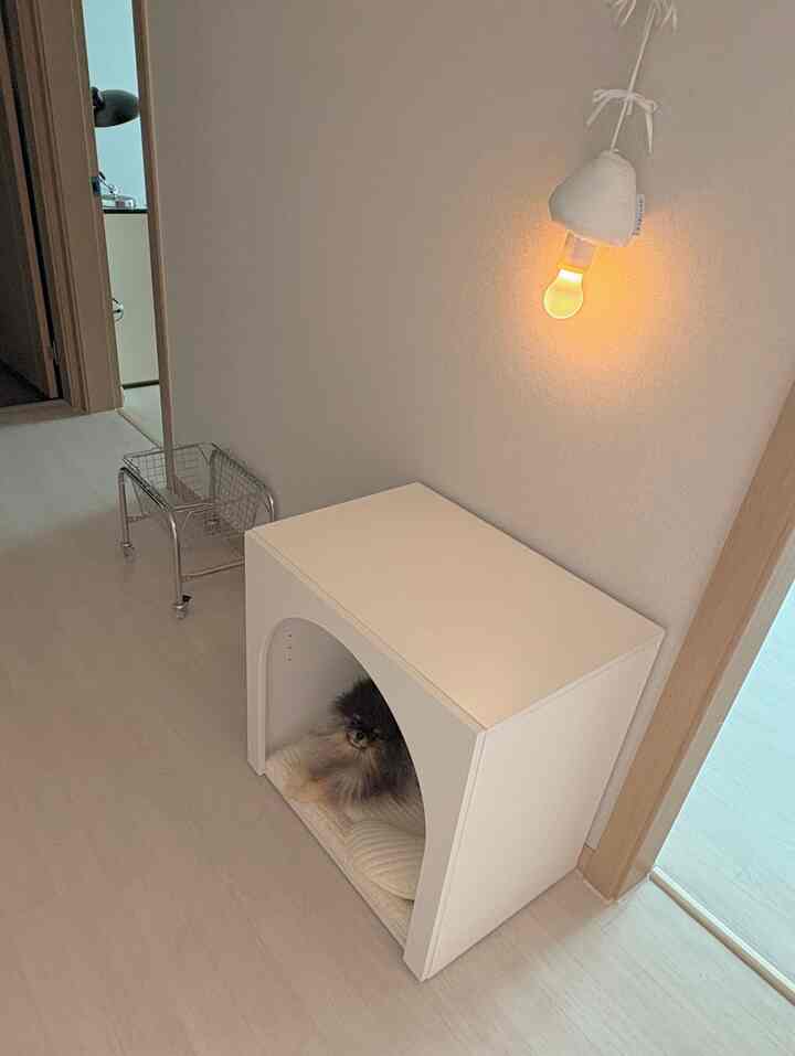 ホワイトとナチュラル色調の廊下に配置された広々としたペットハウスと小さな犬がいるステンレス製のトロリーカートがある印象的な空間