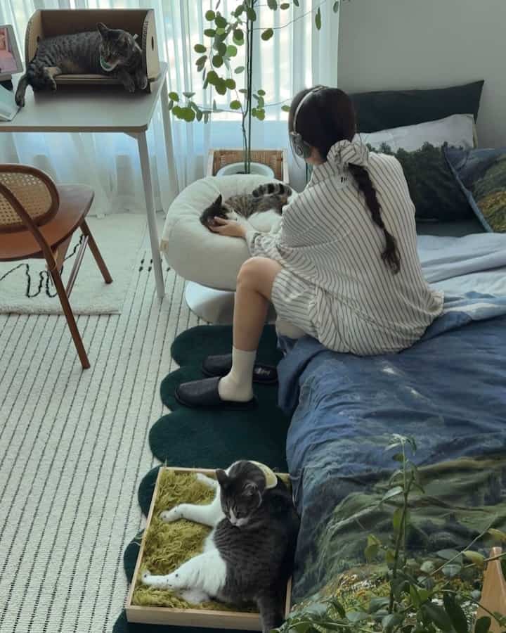 White and natural toned living room featuring bean bag, cat furniture, and plants creating a cozy and comfortable space