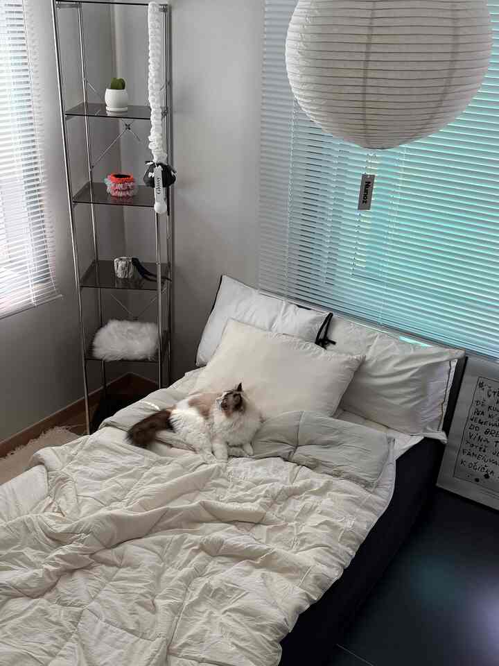 白とグレーのトーンの寝室、モダンな寝具に猫がくつろぐ印象的な空間