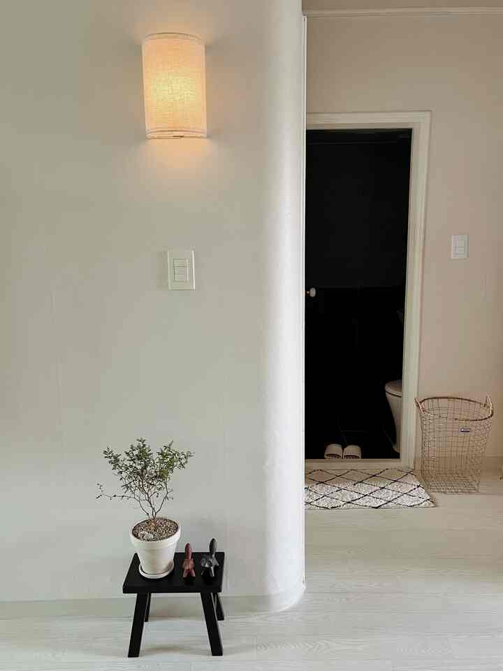Bright white-toned walls and floor, with a black stool holding a plant and pet figurines, creating a simple and natural entrance space