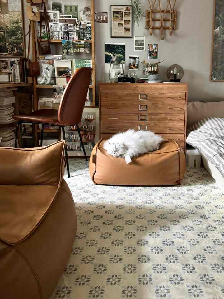 Warm natural modern living room featuring brown sofa, dresser, a bean bag with a sleeping cat, and blue-patterned carpet creating cozy atmosphere