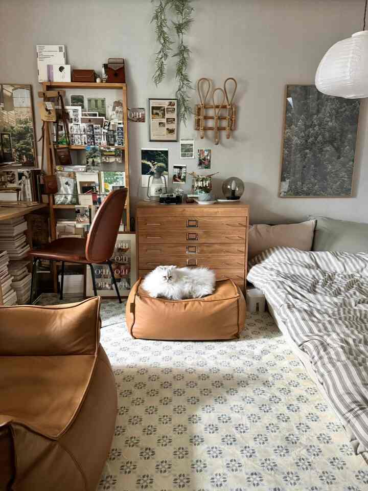 Ivory patterned rug and vintage wooden furniture featuring brown bean bag and sofa in a warm, cozy living room with a cat centered on the bean bag