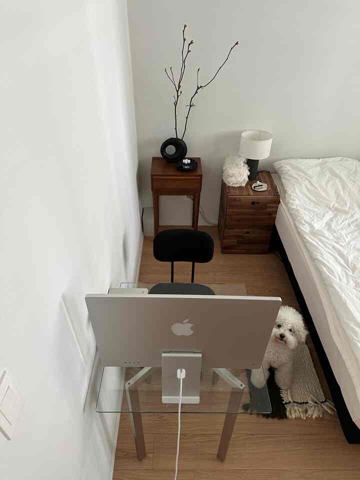 Natural-toned single household bedroom featuring a glass desk with computer and a white dog, creating a clean home office space