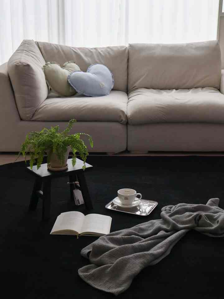 Modern and simple living room featuring a deep black round rug and cream fabric sofa