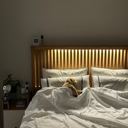 오랜만에 침실 🛏️✨
아마 올해 마지막으로 에어컨 켜고 찍은 사진일 듯 📷
#우드인테리어 #집꾸미기 #방꾸미기 #침실인테리어 #원룸인테리어 #신혼부부인테리어 #씰리 #씰리침대 #sealy #호무로 #호무로이불 #가을준비 #가을이불 #겨울이불 #코쿠너 #베개추천 #이케아 #메종드룸룸 #침대협탁 #협탁 #알오하 #아르떼미데 #artemide #협탁조명 #침실조명 #침대조명 #조명인테리어 #오늘의가든