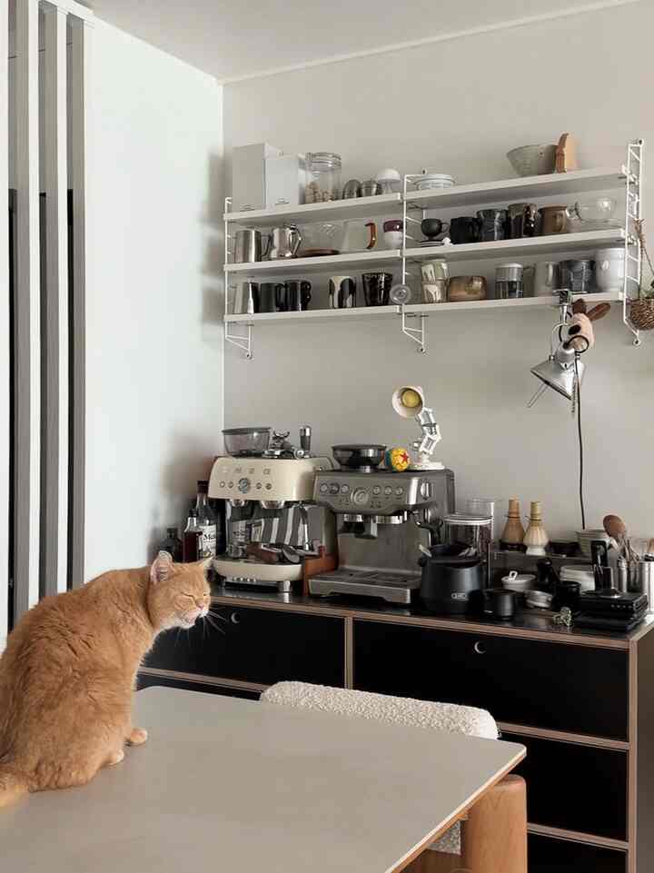 白い壁と棚があるキッチンスペース、ダイニングテーブルに猫が座り、コーヒーマシンと落ち着いたホームカフェの雰囲気のあるインテリア