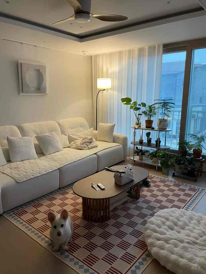 【中身付き】MINK LATTE ペットクッション［2色・2種・3サイズ］を使ったコーディネート 3