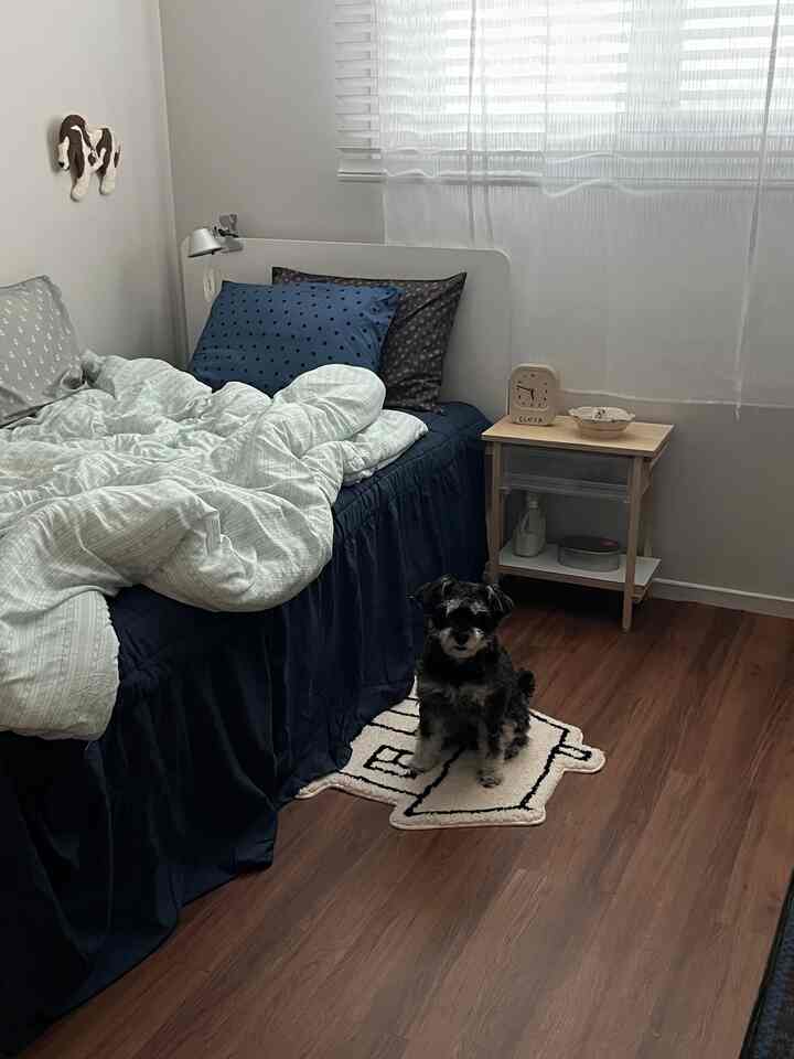 ネイビーカラーの寝具と木目調の床が調和した印象的な寝室、小さな犬がラグの上に座っている