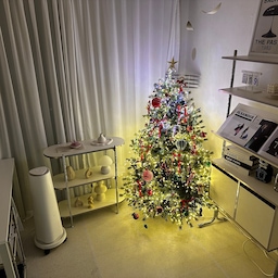#오감리뷰 프로그램을 통해 제품을 제공받아 직접 사용하고 스타일링한 후기입니다.
🎄윈터스케치 크리스마스 고급 감성 트리 피시본 투톤 무장식 대형 트리 (120~210cm)
🎄구성 : 윈터스케치 피시본 트리 150cm + 라탄 바스켓 우드 + 오너먼트 코크베어 70pcs + 오너먼트 벌룬라이드 3pcs + 조명
제품제공을 떠나 정-말 맘에 드는 트리예요.
처음엔 조명만해도 그 자체로 이뻐서 혼자 트리멍~했는데
오너먼트까지 설치하고 나니.
아 이것은 아이를 핑계로 엄마의 사심을 채우는 인테리어 용품이었구나. 깨닫게 되었어요.
너-무 예뻐서 넋을 놓게 되네요.✨
굳이 사람 많은 크리스마스마켓 가지 않아도 집에서 이쁜 트리보는걸로 충분할 것 같아요.
그리고 아이들에게도 이쁜 포토존이 될 것 같아요 :-) !!! 
◆  크기 🎄
크기는 150과 180을 고민했어요.
혹여나 너무 답답할까봐 & 아이들이 아직 영유아라 150으로 했어요.
방에 설치했을때는 150만으로도 꽉찬 느낌이 충분했고
30평대지만 거실이 넓게빠진 구조라 180으로 했어도 괜찮았을 것 같아요.
◆ 트리 디자인 & 디테일 🎄
PE와 PVC 소재로 빈티지한 그린과 애쉬 올리브 컬러의 투톤 연출이라
진짜 자연스럽고 고급져요.
마지막으로 집에 설치했던 트리는 촌스러운 청록색이라
가까이서 보면 좀 덜 예쁘고, 바닥에 우수수 떨어지는 것도 많았거든요.
이건 두 가지가 섞여있는데 하나의 긴 줄기의 
안쪽에는 기존의 트리 느낌도 내면서 바깥쪽은 진짜 가시고기 쉐잎으로 리얼하게 팁이 연출되어 있어요.
고급진 조화느낌이랄까요?
그리고 부스러기가 떨어지는게 정말 없어서 편했어요.
전형적인 A형 수형이면서도 둘레가 넓어, 실제보다 훨씬 볼륨감 있고 든든한 트리입니다🎄
◆ 오너먼트 🎄
오너먼트는 벌룬라이드 3pcs 와 코크베어 70pcs 를 선택했어요.
뒷면보다는 앞면을 풍성하게 채우자는 느낌으로 설치했고
이거 2개로 정말 부족함 없이 가득 채울 수 있었습니다.
오너먼트 자체로도 디테일이 너무 예쁘고,
특히 코크베어70pcs 는 정병들, 산타, 베어, 등등 정말 구성이 다양해서 이거 하나로도 충분할 것 같아요. 
보기만해도 너무 예뻐서 기분이 좋아집니다 ! 
◆ 설치 및 보관 🎄
설치도 3등분으로 나뉘어져있고 순서대로 끼우면 촤르르 펴져서
그 후에 손으로 뺴곡하게 채워주기만하면 돼요.
크게 노력하지 않아도 빈틈 없이 정말 풍성해서 
그 자체로 고급지더라구요 :-) 
개인적으로 자리차지가 걱정되어서 여태 트리 구매를 망설였는데,
보관 가방 검색해보니 자리차지도 크게 안할 것 같아서
보관가방은 따로 돈주고 구매 예정입니다 :-) 
◆ 조명 🎄
조명은 파스텔톤으로 노랑 , 원색 , 파스텔 3가지 컬러가 나와요.
반짝임이나 색변화 등등 조명 하나당 열가지가 넘는 조합으로 불이 나옵니다 :-) 
조명 3세트가 왔는데 조명은 많으면 많을 수록 더 예쁜 것 같아요.
트리가 3등분으로 되어있어서 잘 조절해서 한 쪽으로만 너무 몰리지 않게 잘 설치하는 게 중요해보입니다! 
◆ 총평🎄
요즘에는 한번에 촤르를 펼쳐지는 보관쉽고 설치할 필요 없는 것들도 나오고, 반쪽짜리 트리도 나오던데 
결국 가장 고급지고 예쁘고 설치하는 즐거움도 있는건 기본 트리가  최고인 것 같아요 :-) 
한 번만 접었다 펴도 우수수수수 떨어지던 부스러기 트리만 쓰다가
청소할 필요도 없고 관리도 편한 트리 만나니까 앞으로 겨울마다 행복할 것 같아요. 
하나사면 오래 쓰는 트리라 신중하게 구매하게 될텐데 매-우 만족스럽습니다.
구성, 풍성함, 설치, 보관 등등이 다 만족스러웠어요 :-) !! 
오너먼트 하나하나 다 영롱하고,
조명까지 넋놓고 보게 만드는 윈터스케치 트리 너무 추천합니다:-) 
#크리스마스트리 #오너먼트 #트리전구 #트리꾸미기 #크리스마스장식 #윈터스케치트리 #christmas #christmastree #아기가사는집 #트리 #트리꾸미기 #아이가사는집트리 
