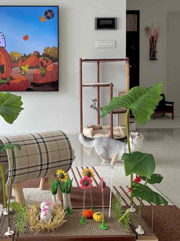 Natural-toned living room featuring a cat tower and pet toys with a cozy atmosphere