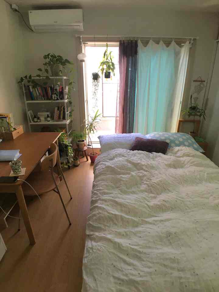 ナチュラルカラーとホワイトが調和した8畳のワンルーム、ベッド、デスク、棚に植物が配置された落ち着いた一人暮らしの空間