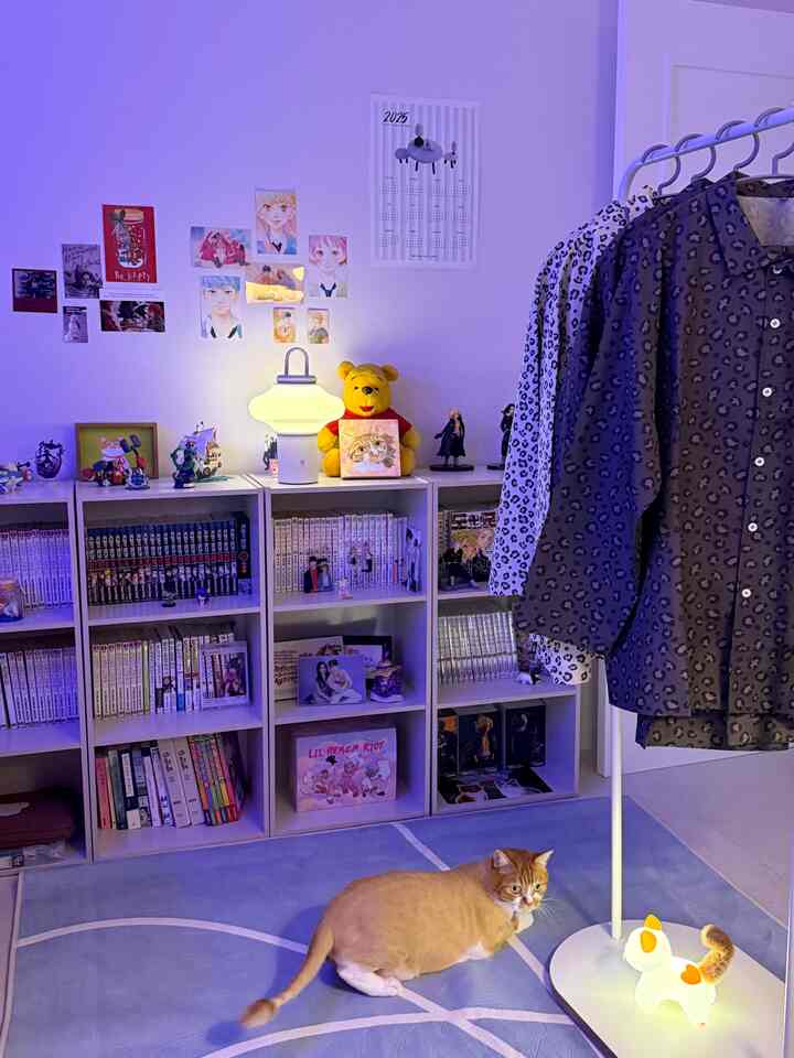 ネオン照明のおかげで、趣味の部屋のムードは思いっきり...💛
入ると出にくいマルネアジトラです！

オブジェを何を買うのか悩んだが、悩みの終わりにポップマートで初のフルバクセットを購入してしまいましたㅎㅎ

何を買ったのかは写真の中で〜🔎

＃趣味部屋＃コンスープ記録＃コンスープ＃漫画本屋＃ネオン照明＃ネオン＃猫＃猫の家＃ペットテリア＃漫画部屋＃アニメ＃フィギュア＃ポスター＃いいね！ 