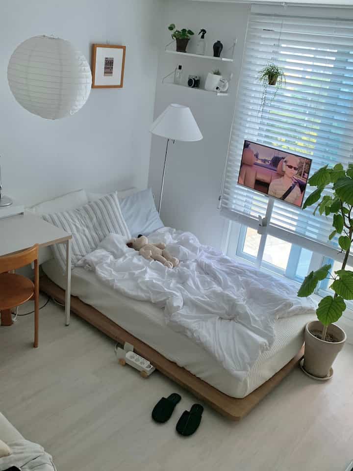 ホワイトとウッドトーンの6坪ワンルーム寝室、低いベッドとブラインド、植物が配置された清潔感あるインテリア