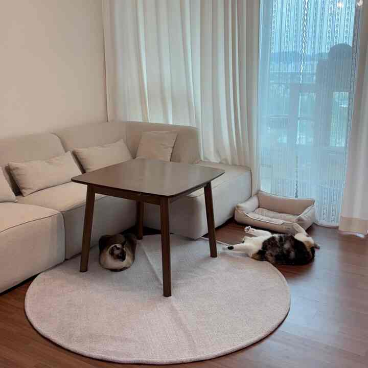 アイボリー色調のリビングルーム、大きなファブリックソファと茶色の木製コーヒーテーブル、2匹の猫とペットベッドがある雰囲気のあるインテリア