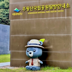 사과 막걸리 드셔보셨나용😎🍎🍶
연휴에 사과의 고장 청송에 잠깐 들렀는디요🍎
청송소노벨 온천 가기전에 주왕산국립공원에 들러 순두부 맛집에 갔는데 엄청 진하고 치즈맛이 나더라구요
솔샘온천 물도 넘 좋았어요~ 혹시 가실분 있음 50%할인받는법 알려드릴게요♨️😎
청송 사과 막걸리가 유명하다고해서 몇병 사왔쥬🍎🍎
집에수 맵싹한 닭발이랑 오이랑 막걸리랑 냠냠🥒🍶
끝맛이 살짝 새콤달콤깔끔하니 취저였어요🍎🍎🍎
#오늘의우리집 #콘수프기록집 #사과 #사과막걸리 #청송여행 #청송 #맞팔 #막걸리 #막걸리잔 #닭발 #주왕산 #나만알고싶은맛집 #여행기록 #여행사진 #여행지추천 #국내여행 #온천 #소노벨 #술안주추천 #사과나무 #오늘의가든 #나만알고싶은공간 
10/13