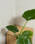 게시글 미리보기 이미지 4