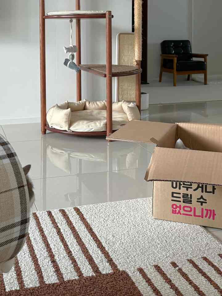 ブラウンとベージュのトーンのリビング、キャットタワーと猫が配置されたモダンでシンプルな空間