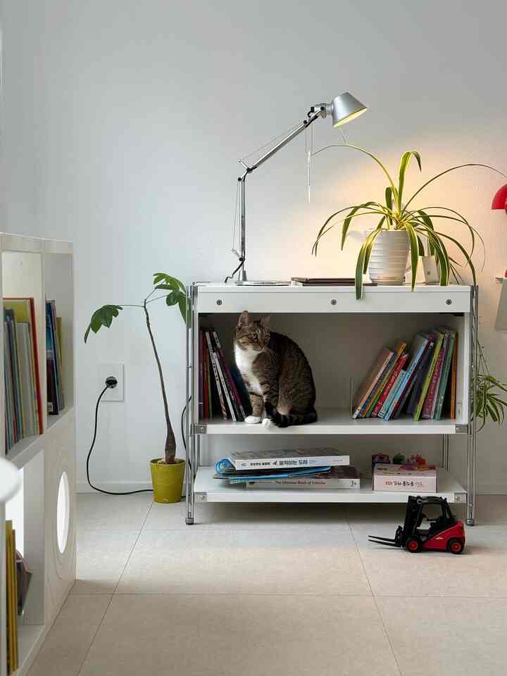 テレビ台 キャットタワー 4x2 Cubics x Catple［7色］を使ったコーディネート 3