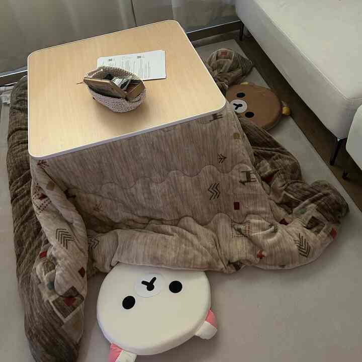  #코타츠이불 #니토리 #방석  #극세사이불 #투룸인테리어  