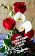 게시글 미리보기 이미지 1
