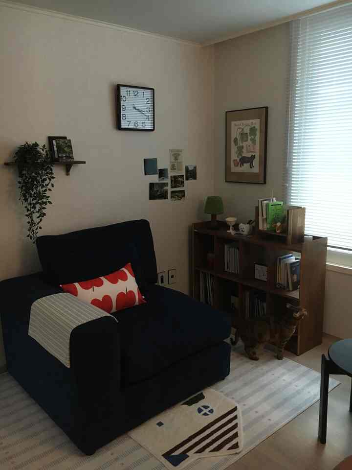 ネイビーカラーのソファと白い壁がある、猫が本棚の近くにいる落ち着いたリビングルーム