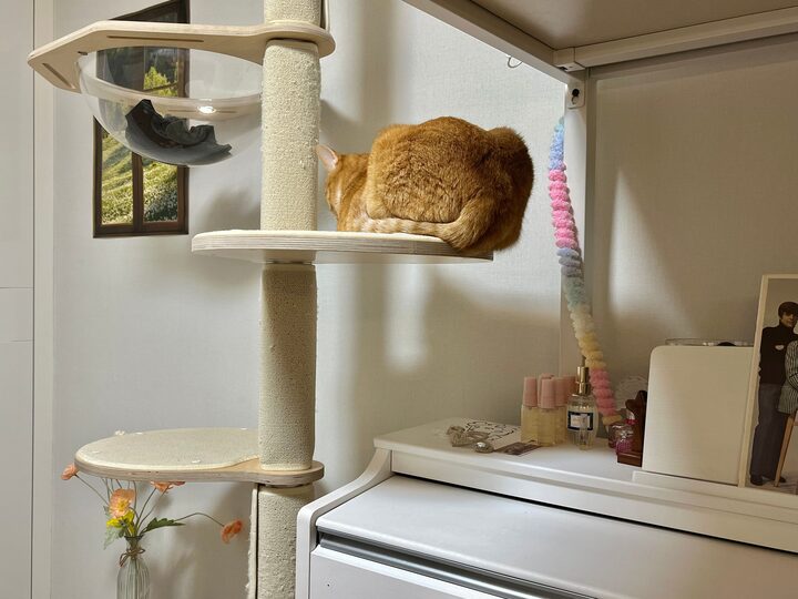 short form carousel card thumbnail