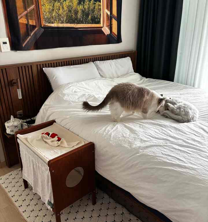 Tagged posts featuring Triple-Layer Cotton Gauze Kitchen Towel 2