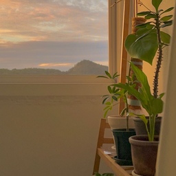 해가 기울 때, 베란다가 주황빛으로 잠깐 반짝여요🧡
짧지만 유난히 따뜻하게 느껴지는 순간이라 하루 중 좋아하는 시간대에요✨
#콘수프기록집 #오늘의우리집 #노을 #베란다뷰 #해질녘 #일몰 #감성사진 #소확행 #작은행복 #힐링타임 #감성스타그램