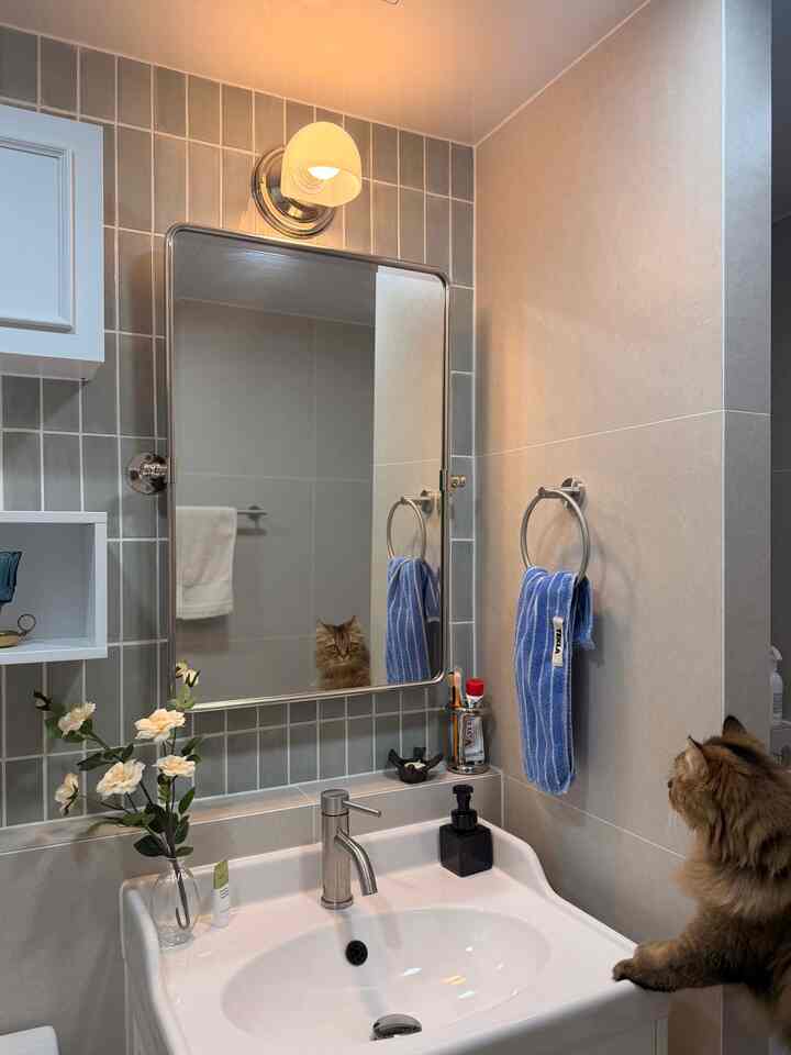 パステル調のバスルーム、洗面台と鏡、タオル掛け、猫がいる雰囲気のあるインテリア