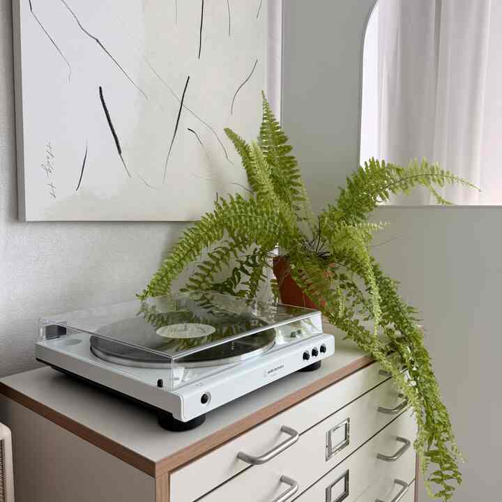 ターンテーブルで曲を聴くので、確かに音質が違うんですよ:)

先延ばしが今月ポイントで購入しましたが、とても満足ですね。 😊

すぐに家に帰って音楽を聴きながら癒したいです、、🥺


＃ターンテーブル＃ミュージック#ウッドホワイトインテリア #フランテリア #カーテン

