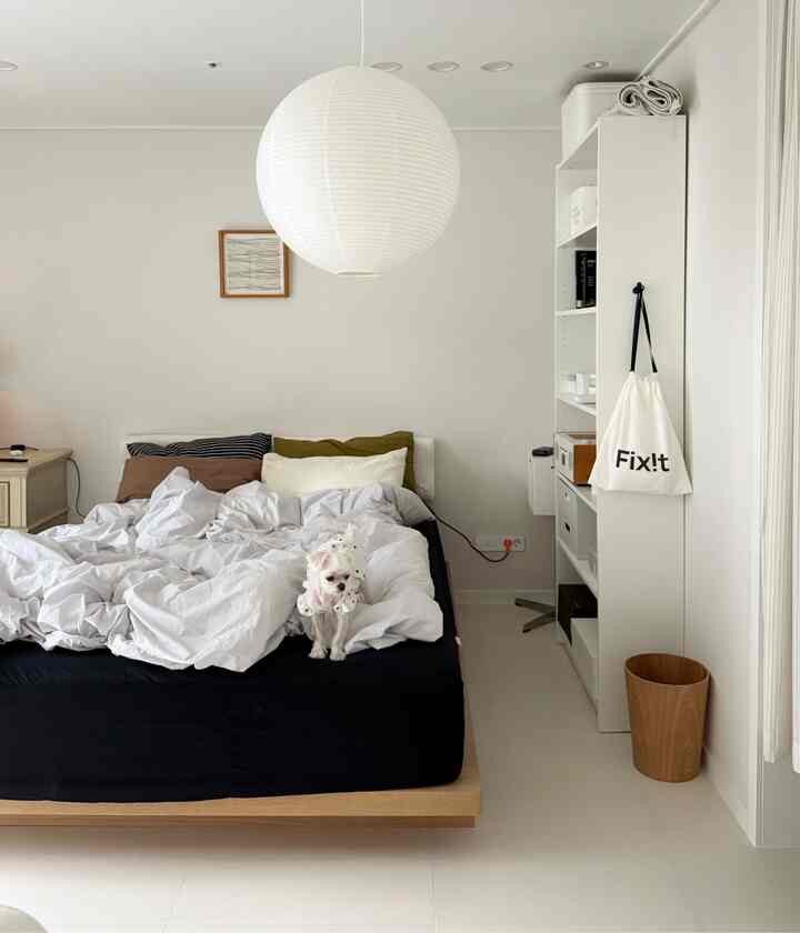White-dominant bedroom featuring a mid-century modern bed at center with a small dog sitting on it, creating a calm atmosphere