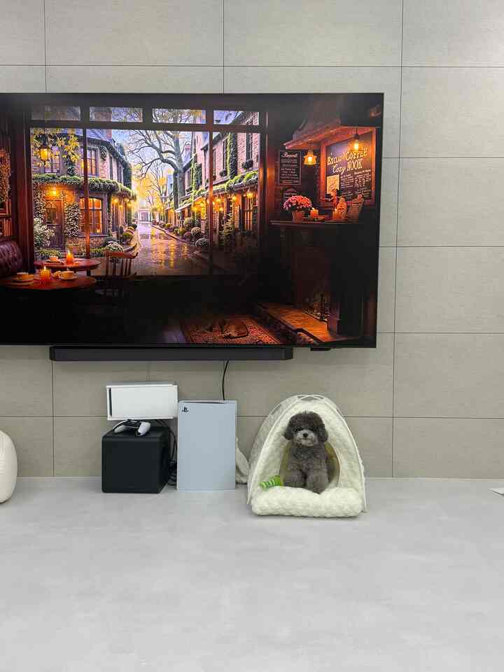 グレーの床と壁のリビング空間、白いペットハウスに座る小さな犬と壁掛けテレビが配置された温かみのあるインテリア