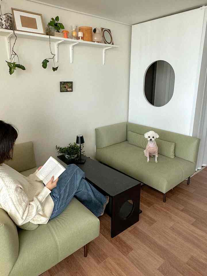 ナチュラルな色調と白い壁のリビング、淡い緑色のソファが2つ並び、小さな犬が座っている落ち着いた空間