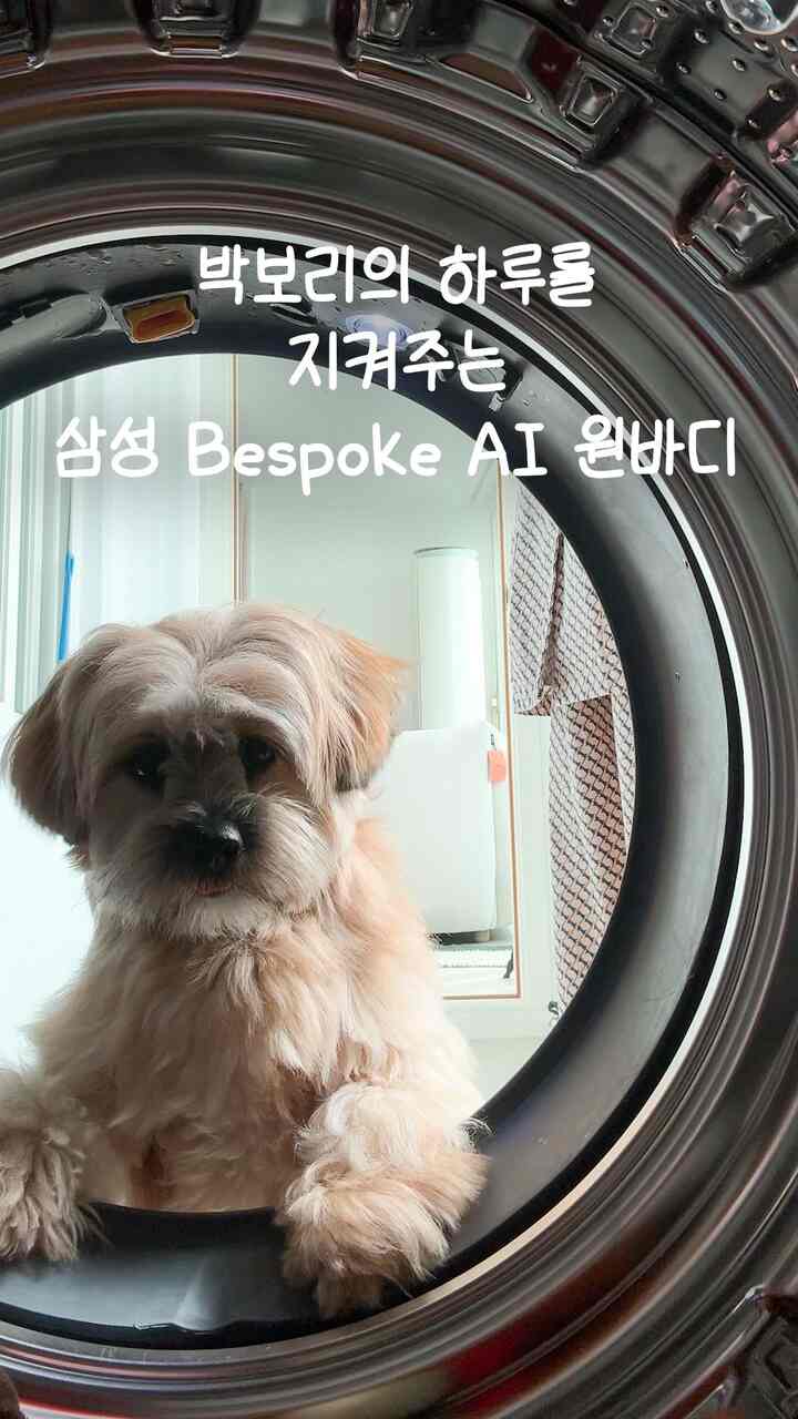 #広告 #BespokeAIワンボディ体験団
＃コンスープフィルム＃コンスープ記録集＃レビュー

📌 この投稿は 2025 Bespoke AI ワンボディ紹介目的で 
サムスン電子から製品をサポートして作成されました。 

パクボリと一日中遊んでみると、おもちゃがいつのまにかオオムギ痕でいっぱいになります。
噛み、引き、抱きしめて…可愛いけど衛生がいつも気になったんですよ。
それで、最近はサムスン電子Bespoke AIワンボディのペットケアコースを定期的に返します。
洗濯は基本で、脱毛とガス脱臭までになるから
ペット犬のおもちゃの管理にぴったりですよ。

特に好きなのは、Samsung Electronics SmartThingsアプリで
洗濯・乾燥状態をすぐに確認できるという点。
完了すると、オートオープンドア機能でドアが自動的に開きます。
換気と衛生まで細心の注意を払ってくれて生活満足度がはるかに高くなりました。
些細なルーチンみたいですが、オオムギの健康と安心を守るのは結局こんな小さな習慣だと思います。

ペットケアコースでおもちゃがまた送り返される瞬間、 
その時の気持ちは言葉で全部できません。 ✨ 

 📌ペット犬のおもちゃの管理、あなたはどうしますか？ 
最後に1つの情報を共有します〜Bespoke AIワンボディを購入すると 
一番効率的な家電の恩恵を受けることができるそうです。
最大10％（個人あたり最大30万ウォン）先着順の払い戻し特典が可能なので、興味のある方は
以下のリンクを確認してください。

 https://www.samsung.com/sec/event/energy-return/ 

 ＃BespokeAIワンボディ＃ビスポークAIワンボディ＃欲しい洗濯バラドン乾燥＃ビスポークAIワンボディ体験団＃サムスン洗濯乾燥機＃サムスン洗濯機＃サムスン乾燥機＃Bespoke洗濯乾燥機＃真のAI家電＃AI家電＃サムスン電子＃サムスン＃サムスン＃サムスン＃サムスン＃サムスン＃AI乾燥機＃洗濯乾燥機おすすめ＃エネルギー効率1等級＃最初の効率家電＃ランドリールームインテリア＃ロンドリールーム 



[ペットケア洗濯]
*犬、猫アラゲン99％以上除去
- 犬、猫アラゲン99％除去、IEC 1.5kg綿負荷基準
- 試験方法：犬、猫の毛とほこりで汚染された綿生地（10cm x 10cm）を取り付けた後、ペットケアの洗濯コースの作動
- 国際認証機関Intertekの検証を受けた漢陽大学試験の結果、実使用環境によって異なる場合があります。
* 7種汚染汚れ除去及びすすぎ性能改善
- 泥、血、草、肉油、牛乳、ゴムダン(炭)、油の時(Mineral oil)成分を含む人工汚染布の標準コースに対する洗濯性能24%、すすぎ性能42%改善(IEC 1.5kg綿負荷基準)
- 試験方法：人工汚染布（10cm x 10cm）をIECタオルに取り付けた後、標準コースとペットケア洗濯コースの動作比較
- KATRI(韓国衣類試験研究院)の検証を受けた自社試験結果で、実使用環境によって異なる場合があります。
* 5種ガス脱臭 99.9%
- ペットケア洗濯コース 各ガス別消臭率99.9%以上、IEC 1.5kg 面負荷基準
- 試験方法 : 規格布(15cm x 15cm)にする5つのガス汚染後ペットケア洗濯コース作動
- ガス種類 : Acetic Acid(しゃがみ)、Iso valeraldehyde(きつい匂い)、Methyl Mercaptan(キムチのにおい)、Tri Methyl Amine(魚びら)、Nonanal(老人臭)
- 国際認証機関Intertekの検証を受けた自社試験の結果、実使用環境によって異なる場合があります。
*排便汚れ洗濯性能改善
- 犬糞便で汚染された綿素材の半袖上の標準コースに対する洗濯性能21％改善（IEC 1.5kg綿負荷基準）
- 試験方法：糞便希釈液で汚染された綿Tシャツ1枚とIEC 1.5kgを標準コースとペットケア洗濯コース前/後反射率GAP比較
- KATRI(韓国衣類試験研究院)の検証を受けた自社試験結果で、実使用環境によって異なる場合があります。 

[ペットケア乾燥]
* 毛除去率 96.3%
- ペットケア乾燥コース毛除去率96.3%、乾燥洗濯物1.5kg負荷基準
- ペットヘア付の綿織物(30cm×30cm)を含む洗濯物をペットケア乾燥コース作動
- 国際認証機関Intertekの検証を受けた自社実験の結果、実使用環境によって異なる場合があります。
* 5種ガス脱臭99%
- ペットケア乾燥コース 各ガス別消臭率99％以上、IEC 1.5kg 面負荷基準
- 規格布(15cm x 15cm)にする5つのガス汚染後ペットケア乾燥コース作動
- ガス種類 : Acetic Acid(しゃがみ)、Iso valeraldehyde(きつい匂い)、Methyl Mercaptan(キムチのにおい)、Tri Methyl Amine(魚びら)、Nonanal(老人臭)
- 国際認証機関Intertekの検証を受けた自社試験の結果、実使用環境によって異なる場合があります。

【オートオープンドア】
* オートオープンドア機能のコース終了時、ドア開閉器の基本設定は洗濯機「5分後開く」、乾燥機「使用」であり、該当機能は付加機能で設定変更することができます。
*洗濯機：コース終了時のドア開閉（すぐに開く/5分後に開く/使用しない、製品やモバイルで設定）、即座にドアを開く（製品とモバイルで設定）機能が利用可能
*ドライヤー：コース終了時および電源投入時にドアを開く（使用/無効、製品およびモバイルで設定）、即時ドアを開く（製品およびモバイルで設定）機能が利用可能
*「即時ドアを開く」機能を使用するには、製品をSmartThingsに登録した後、スマートコントロール機能が有効になっている必要があります。  
* SmartThingsは、サポート環境と使用方法にいくつかの制限があります。
※オートオープンドア機能は一部モデルに限ります。 （対象モデル：WF*0F2*A**、DV*0F2*A**、DV*0F2*C**）

[7型LCD]
* 7型LCDモデル名はWF90F*****/DV90F*****、4.3型LCDモデル名はWF80F*****/DV80F*****です。



