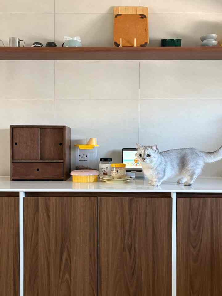 ブラウンの木目調キャビネットと白いカウンターに猫がいる清潔感のあるキッチンスペース