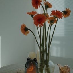 #가을담은우리집
가을 가버릴까봐 아쉬웠는데, 오늘 다시 조금 따뜻.
가을가을한🍁 색감으로 데려온 거베라랑 어린이의 소장품을 빌려서 데코해봅니다. 🤭🤭🤭
.
.
#오늘의우리집 #가을인테리어 #할로윈데코
#어린이가함께살아요 #고양이도함께살아요
#led촛불 #이케아화병 #거실테이블추천 #거실꾸미기
#담백집
