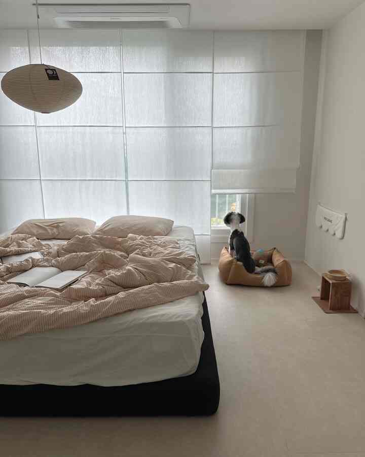 白とベージュのトーンの寝室、中央にベッドとベージュのペットベッドが配置された落ち着いた空間
