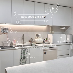 #살림구원템 
우리집 주방 용품 총집합✨ 주방템 지도 공개합니다!
🍴 우리집 주방템 리스트 공개!
요즘 주방이 제일 오래 머무는 공간이에요.
매일 쓰는 물건들이라 예쁘고 실용적인 걸로 하나씩 바꿔가는 중이에요 🤍
사진에 표시된 건 전부 진짜 잘 쓰는 주방 정착템들이에요 👇
✔️ 우리집 주방 용품
•	🦆 모도리 도마 세트 — 조리할 때마다 디자인과 컬러 모두 만족
•	🧽 졸리덕 디스펜서 — 세제통인데 오브제 역할까지! 싱크대 위 포인트템
•	🍳 루사아이 —트레이로 다양하게 활용 가능
•	☕ 이케아 타월 — 그릇 닦을 때도, 포인트 패브릭으로도 굿
•	🧂 이야이야프랜즈  — 미니멀한 주방 분위기에 귀여운 포인트
•	🥄 스튜디오무드 — 콘센트 가리개로 깔끔한 주방 완성
•	🖤 덴켄마우트  — 심플한 디자인에 기름 튐 방지
•	🍴 에브리윅 — 세련된 행주걸이대
주방이 훨씬 깔끔해지고, 볼 때마다 기분 좋아지는 공간이 됐어요.
#살림템 #살림정착템 #정착템 #주방 #주방용품 #주방인테리어 #화이트인테리어 #주방꾸미기 #신혼집주방 #손세정제 #모도리 #도마 #이야이야앤프렌즈 #스튜디오무드 #콘센트가리개 #콘센트커버 #기름튐방지 #인덕션가림막 #자동디스펜서 #약통정리 #약통정리함 #약통보관함 #주방템 #주방템추천 #행주걸이 #에브리윅 #키친크로스 #밧드야 #쿠쿠음식물처리기 
